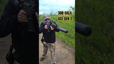 The most slept-on battle rifle?