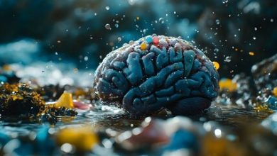 Study Finds Microplastics in Human Brain Tissues Linked to Dementia and Cardiovascular Risk