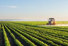Even The Mainstream Media Is Admitting That The Coming Global Food Crisis Has Now Arrived