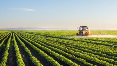 Even The Mainstream Media Is Admitting That The Coming Global Food Crisis Has Now Arrived