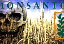 Supreme Court Ruling Blocks Lawsuits Against Roundup Maker Monsanto
