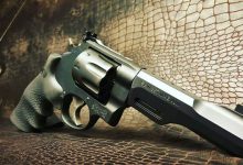 Inheriting a Gun: What Happens to Firearms When an Owner Dies?