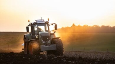Trump Slashes Tractor Tariffs In Bid To Revive Ag Belt Optimism