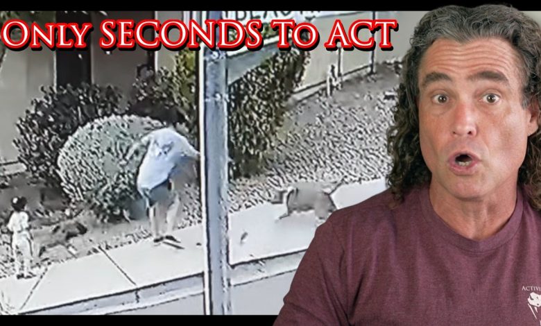 Defender Saves His Child From A Dog Attack | Active Self Protection