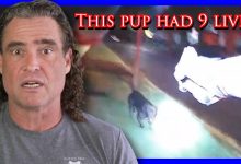 Homeowner Can’t Control His Dog Or Emotions | Active Self Protection