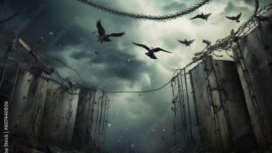 The Anti-Slavery Advocates of Disunion