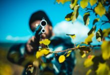 Best Hunting Rifles for Big Game
