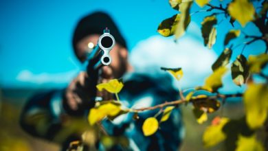 Best Hunting Rifles for Big Game