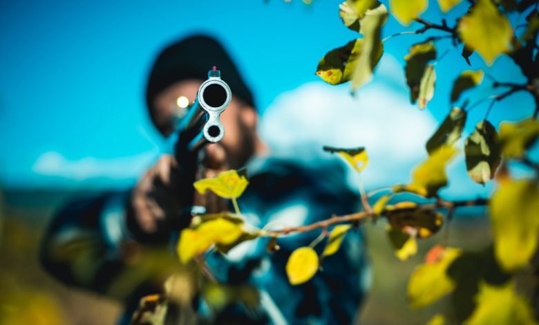 Best Hunting Rifles for Big Game
