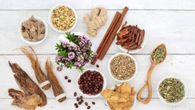Herbs And Foods That Support The Immune System During Long Stressful Times – Survivopedia