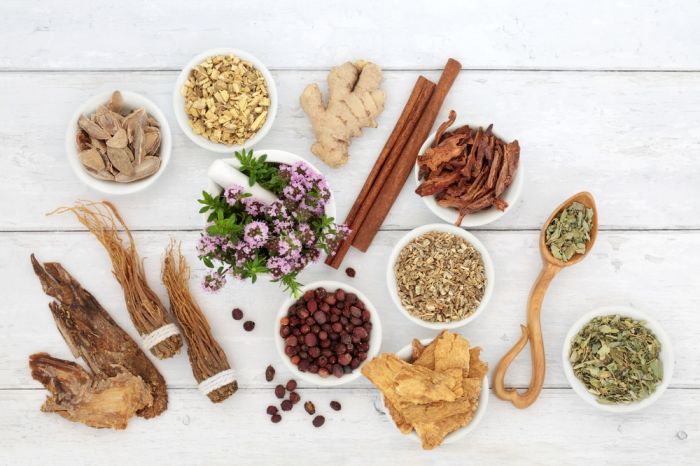 Herbs And Foods That Support The Immune System During Long Stressful Times – Survivopedia Herbs And Foods That Support The Immune System During Long Stressful Times – Survivopedia
