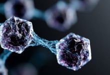 Lab-Made “SpudCell” Brings Us Closer To The Creation Of “Artificial Life”