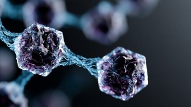 Lab-Made “SpudCell” Brings Us Closer To The Creation Of “Artificial Life”