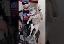 NAVY SEAL ROOM CLEARING #dog #shorts #militaryeverything #navyseal