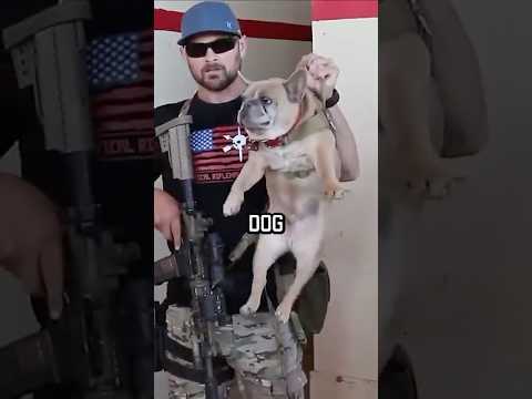 NAVY SEAL ROOM CLEARING #dog #shorts #militaryeverything #navyseal