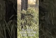 Sniper School Stalk, filmed on VHS in 1994  #sniper #tacticalrifleman #vhs #military