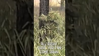 Sniper School Stalk, filmed on VHS in 1994  #sniper #tacticalrifleman #vhs #military