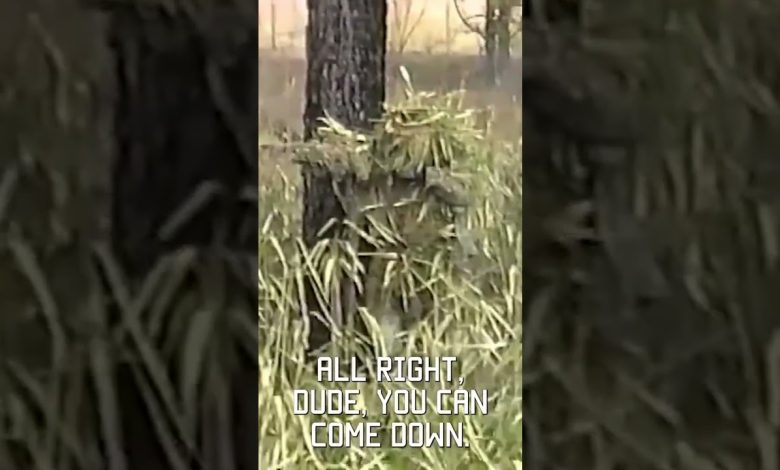 Sniper School Stalk, filmed on VHS in 1994  #sniper #tacticalrifleman #vhs #military