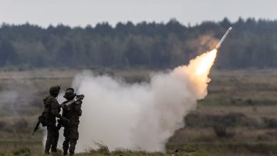 European allies team up to buy Polish portable anti-aircraft systems