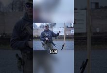 Special Forces CQB Rifle Training #militaryeverything #specialforces #cqb #shorts