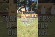 Make YOUR OWN shooting range  #tacticalrifleman #range #reel #youtube