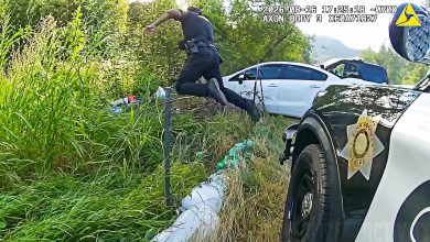 Deputy Pulls Off PIT Maneuver To Stop Fleeing Robbery Suspect