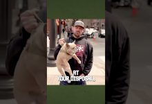 WHY SITUATIONAL AWARENESS IS IMPORTANT PT  1 #tacticalrifleman #shorts #awareness #safety