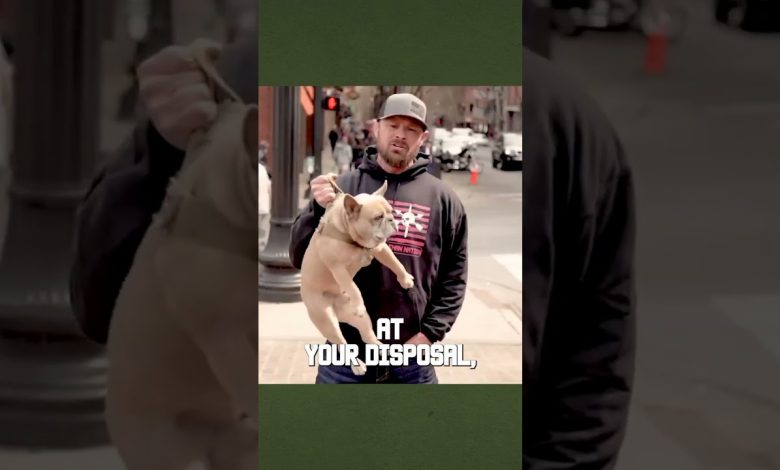 WHY SITUATIONAL AWARENESS IS IMPORTANT PT  1 #tacticalrifleman #shorts #awareness #safety