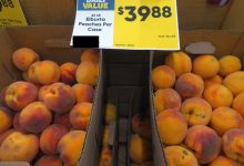 The blessing of local fruit