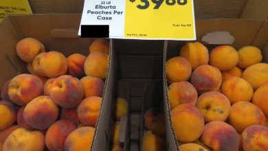 The blessing of local fruit