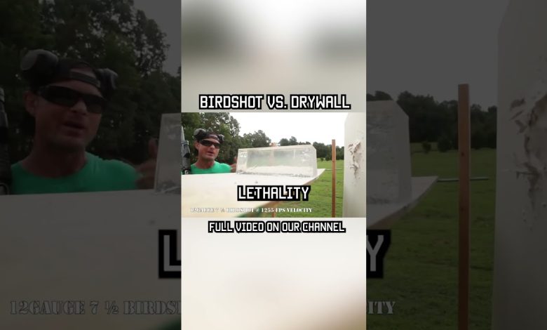 BIRDSHOT vs. DRYWALL #shorts #shotgun #military