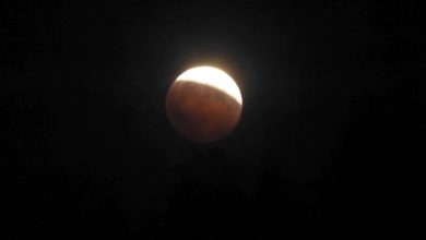 Did you see the lunar eclipse?