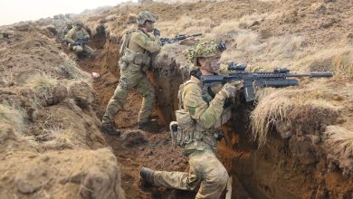 New Zealand ground forces drill to dock onto larger armies