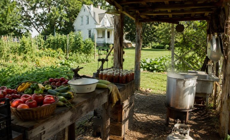 Cooking All August Without Heating Your House – Survivopedia