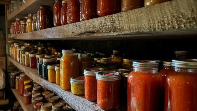 7 Survival Foods I Always Keep, And How Much Is Too Much – Survivopedia