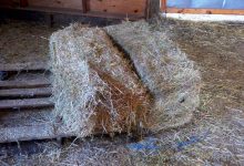 Rural Revolution: A dirty job