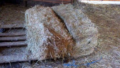 Rural Revolution: A dirty job