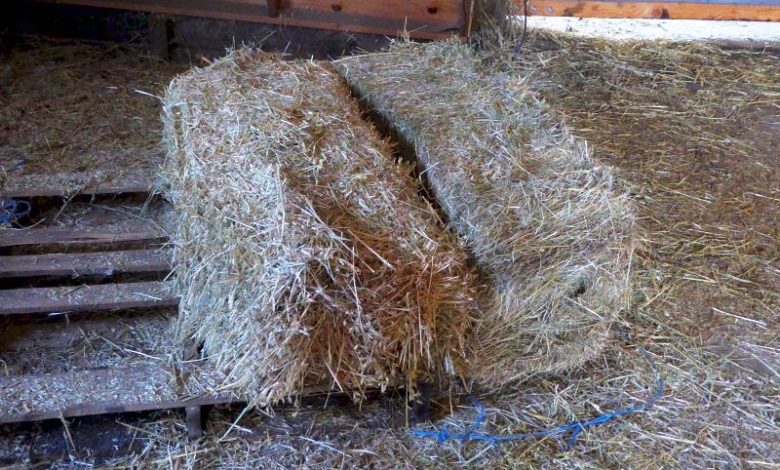 Rural Revolution: A dirty job
