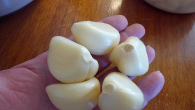 Rural Revolution: A garlic “Eureka” Rural Revolution: A garlic “Eureka”