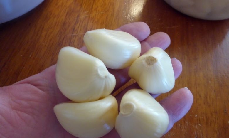 Rural Revolution: A garlic “Eureka”