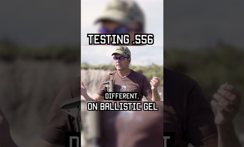 TESTING .556 ON BALLISTIC GEL #shorts #science #test #military #lawenforcement