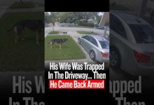 His Wife Was Trapped In The Driveway… Then He Came Back Armed