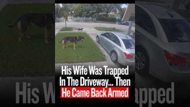 His Wife Was Trapped In The Driveway… Then He Came Back Armed