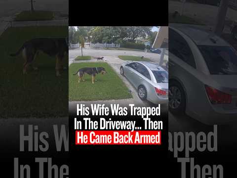His Wife Was Trapped In The Driveway… Then He Came Back Armed