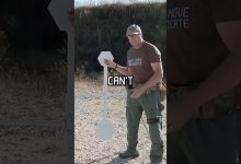 Add this to your training #military #lawenforcement #shorts #rangeday #pewpew