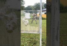 Does bullet-proof glass always work? #military #army #tips #airsoftcqb