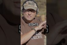 Spinner Targets rock #training #shorts #rangeday