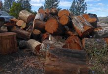 Rural Revolution: Putting up firewood
