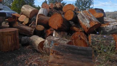 Rural Revolution: Putting up firewood