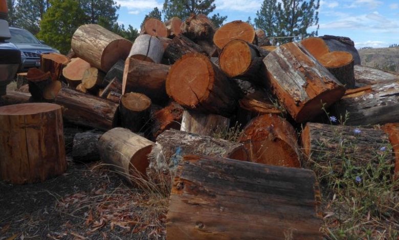 Rural Revolution: Putting up firewood